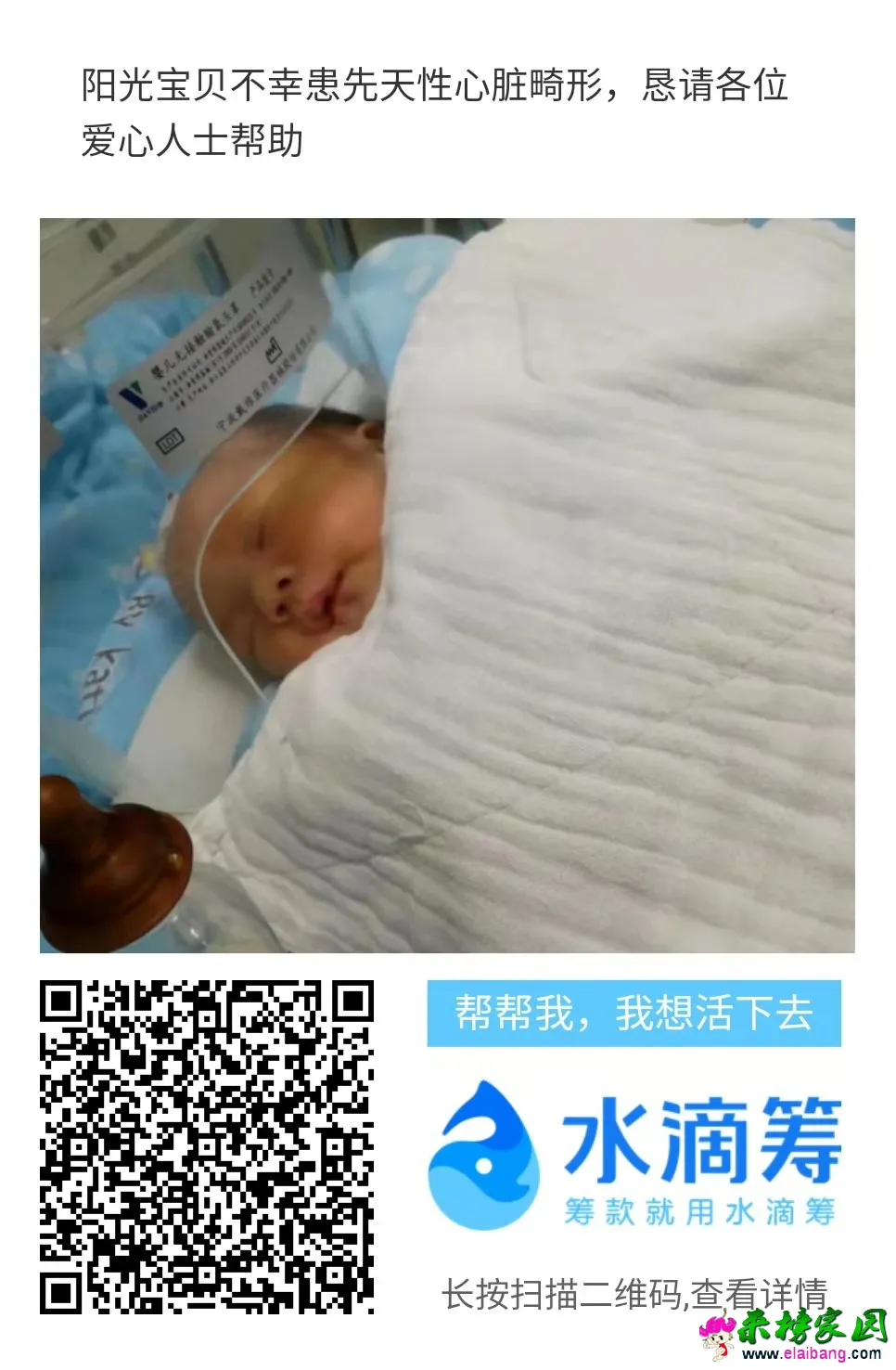 a79bef75e6059d6647c77791e94e6fba.webp