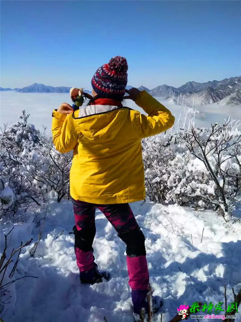 微信图片_20201214195637.webp