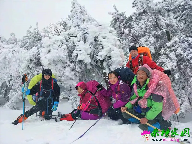 微信图片_20201214195655.webp