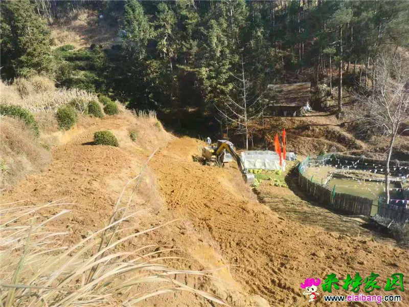 微信图片_20210104203320.webp
