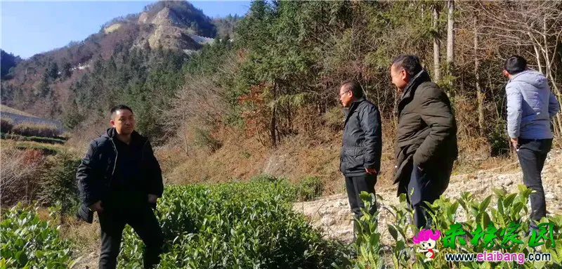 微信图片_20210104203341.webp