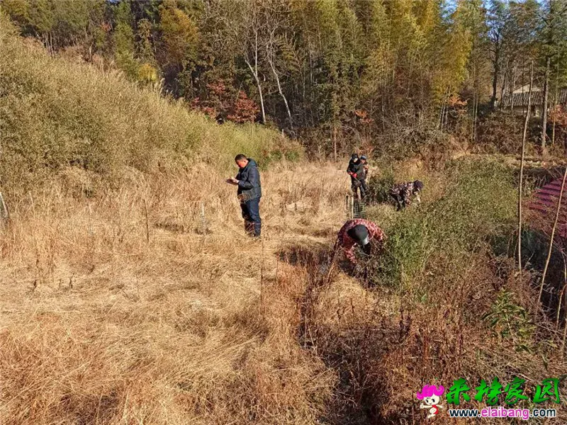 微信图片_20210112165754.webp