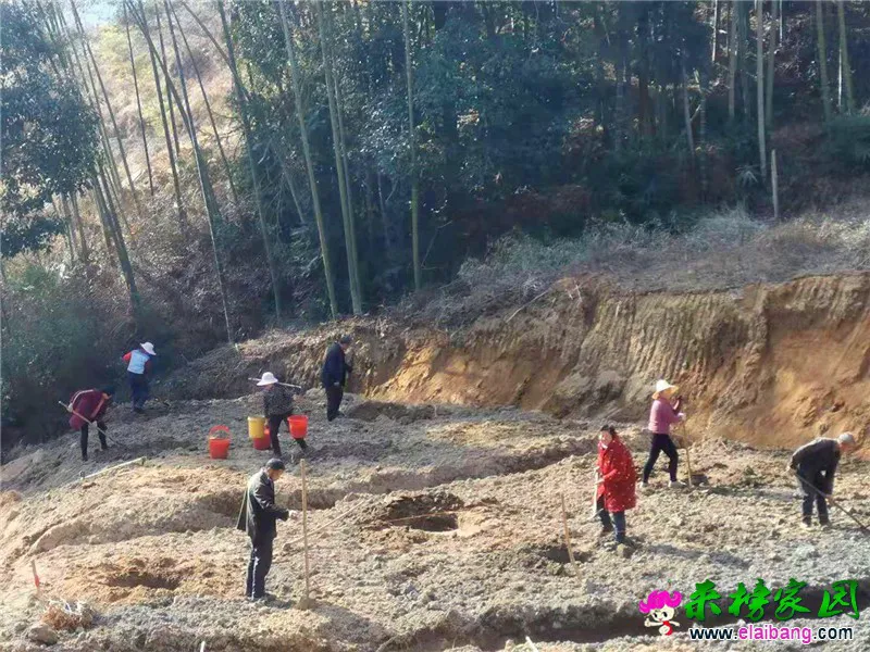 微信图片_20210115193218.webp