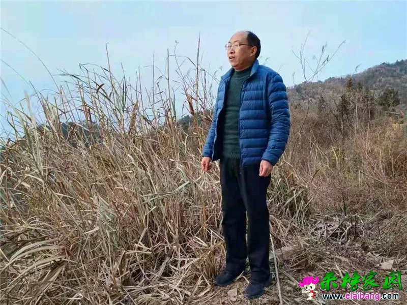 微信图片_20210116201744.webp