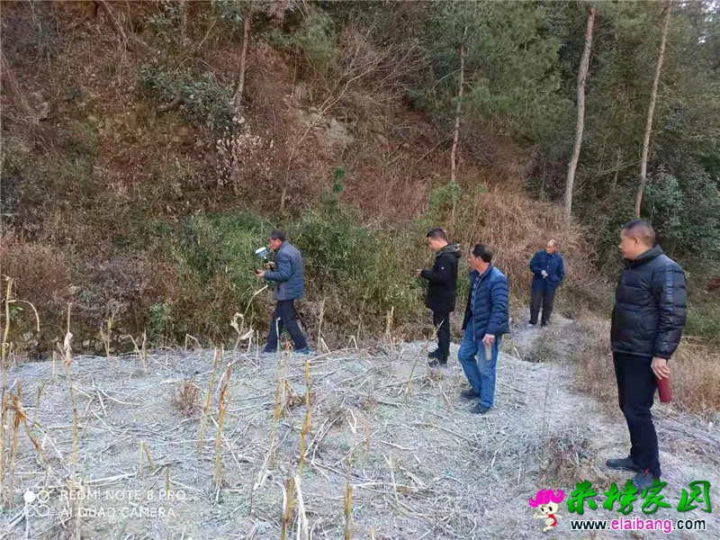 微信图片_20210119193251.webp
