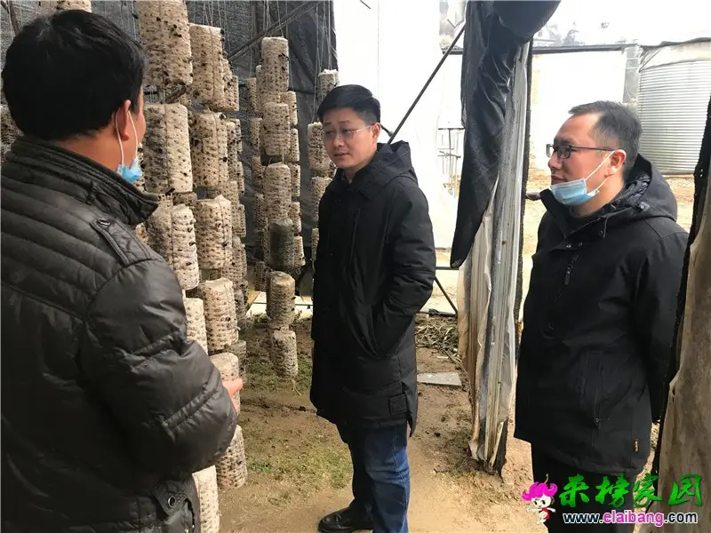 微信图片_20210121191443.webp