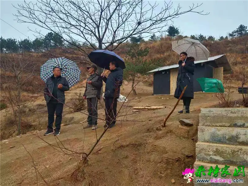 微信图片_20210121191412.webp