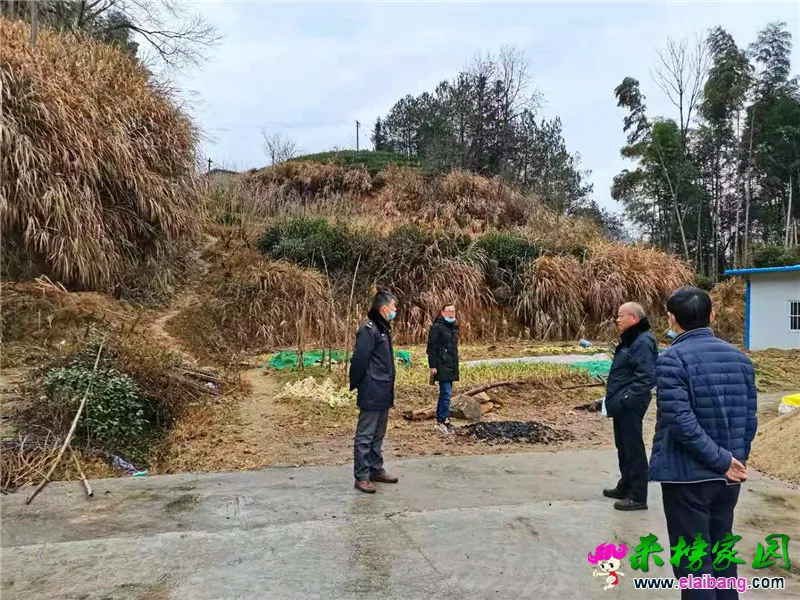 微信图片_20210125200333.webp