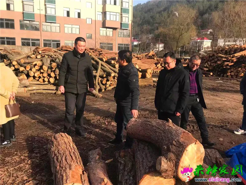 微信图片_20210128214732.webp