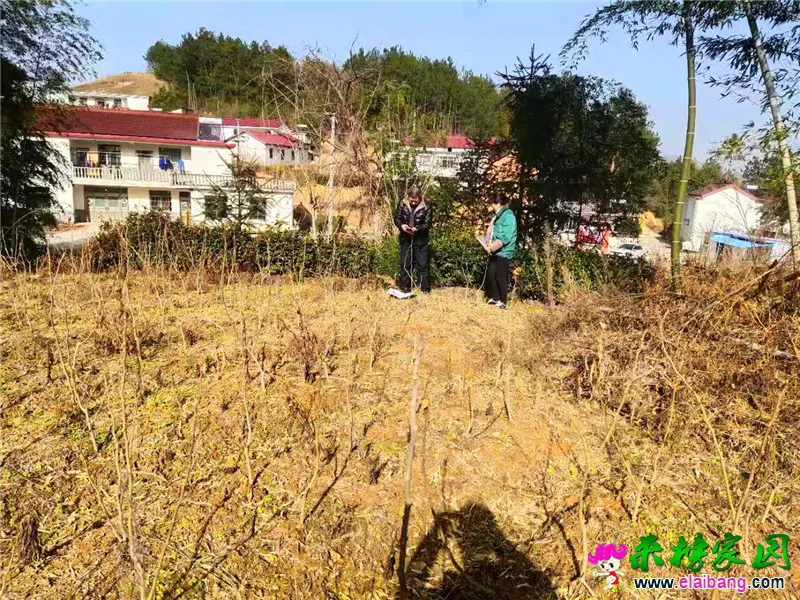 微信图片_20210128214652.webp