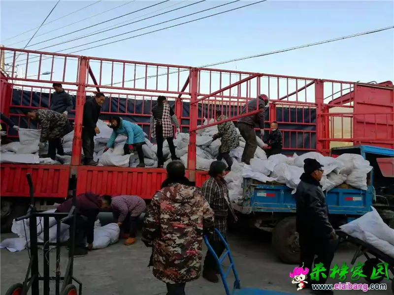 微信图片_20210129145859.webp