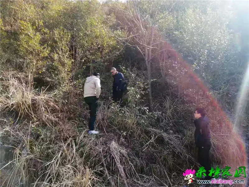 微信图片_20210203205924.webp
