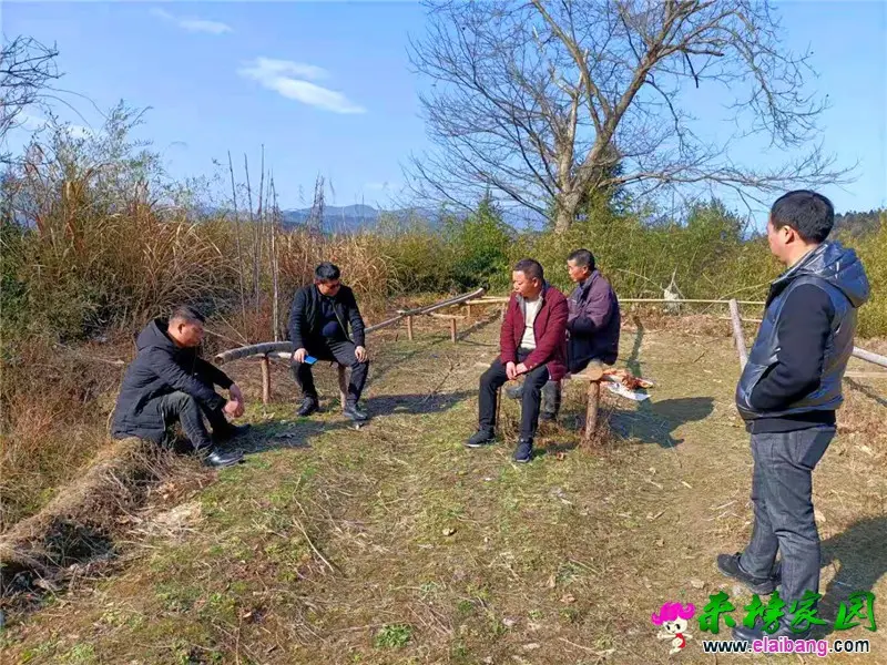 微信图片_20210203210022.webp