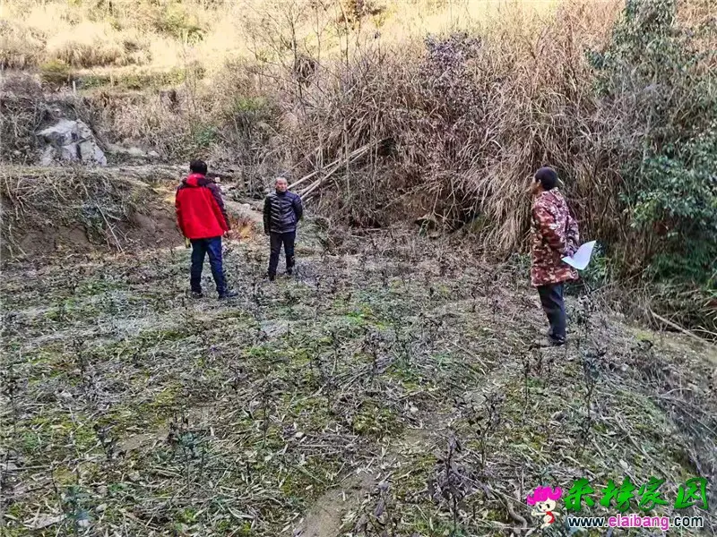 微信图片_20210203210832.webp