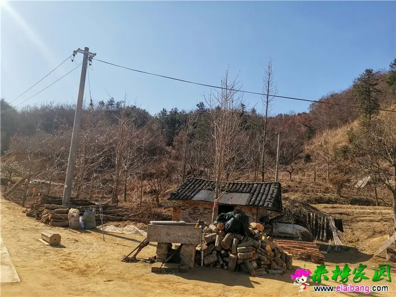 微信图片_20210219204232.webp