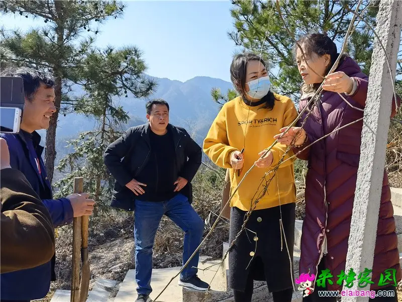微信图片_20210219204237.webp
