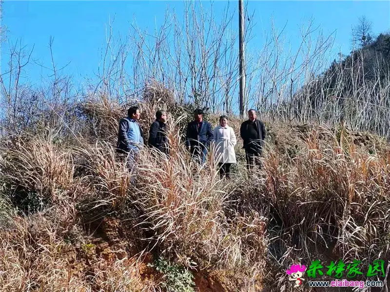 微信图片_20210219204234.webp