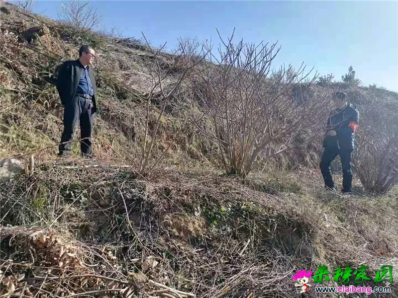 微信图片_20210222203554.webp
