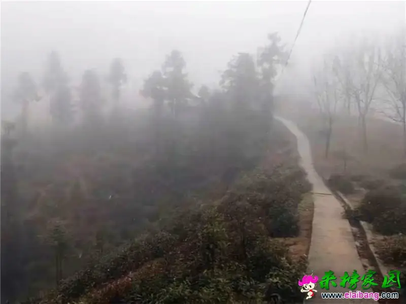 微信图片_20210226150534.webp