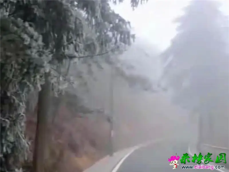 微信图片_20210226150526.webp