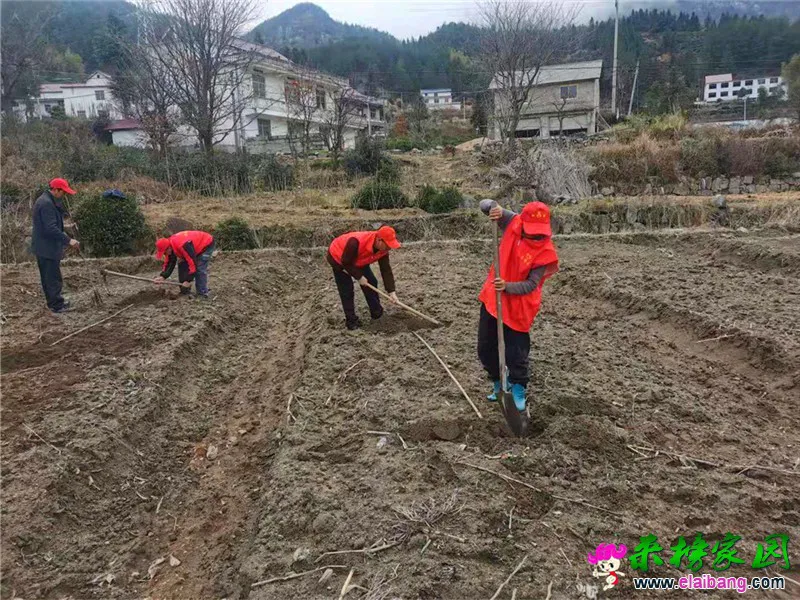 微信图片_20210227202639.webp