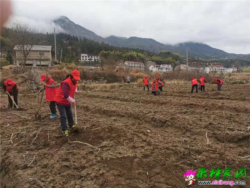 微信图片_20210227202641.webp
