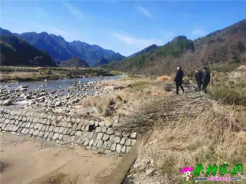 微信图片_20210302202313.webp