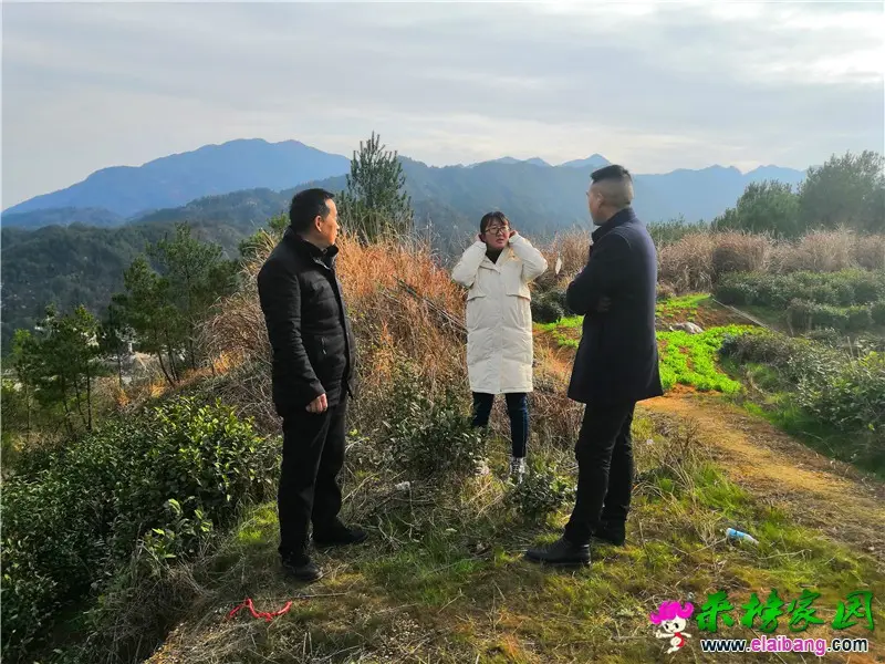 微信图片_20210302202339.webp