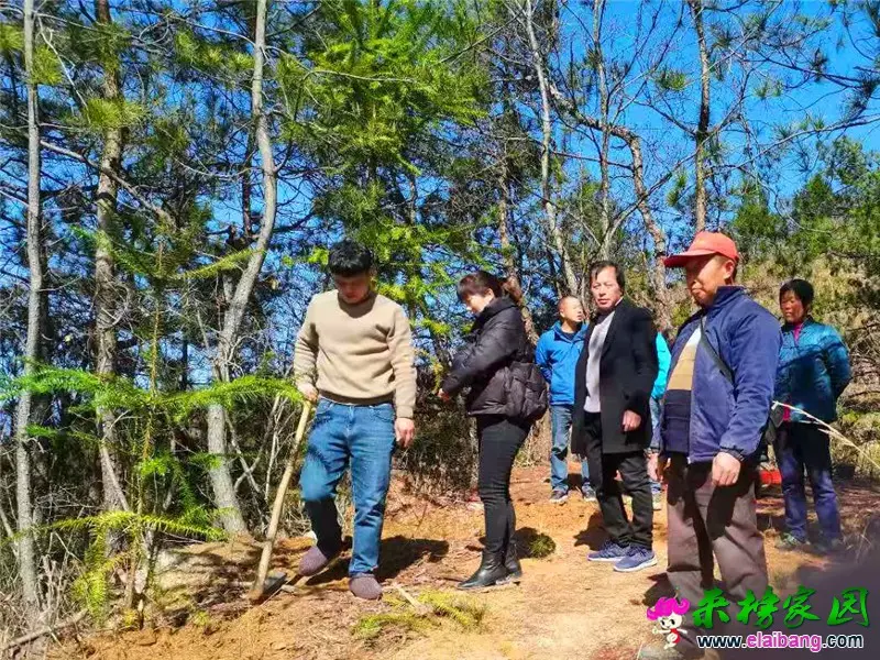 微信图片_20210302202323.webp