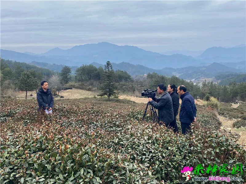 微信图片_20210303194603.webp