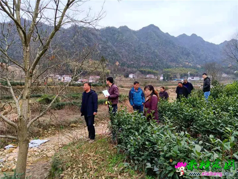 微信图片_20210303194553.webp
