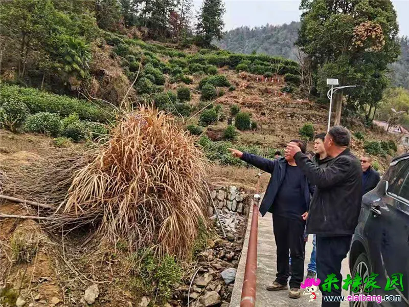 微信图片_20210303194609.webp