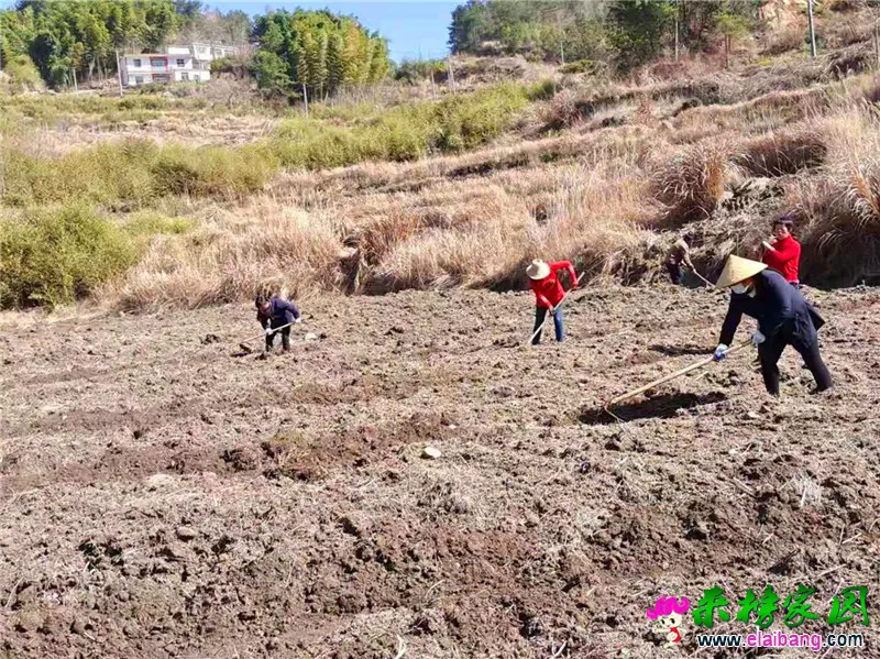 微信图片_20210304151854.webp