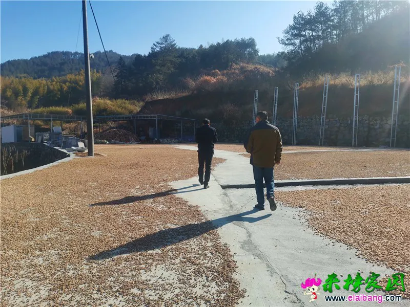 微信图片_20210304151848.webp