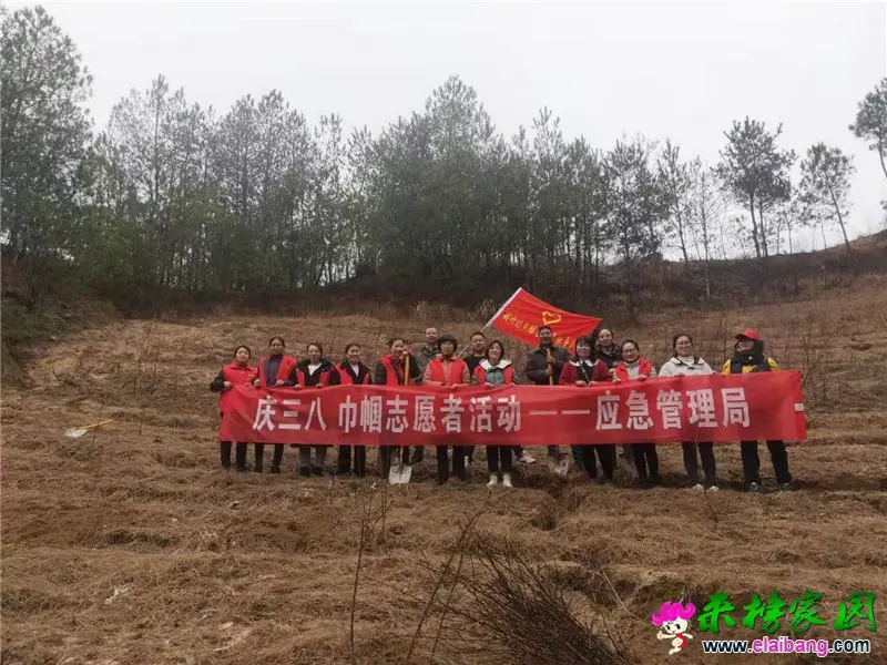 微信图片_20210305210714.webp