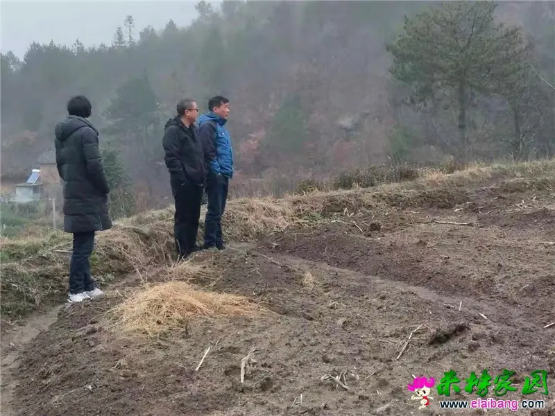微信图片_20210308201944.webp