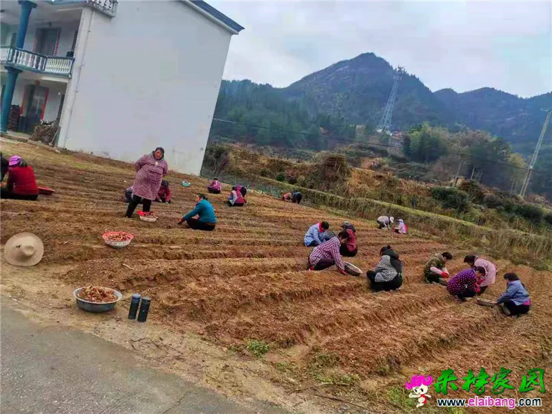 微信图片_20210309160843.webp