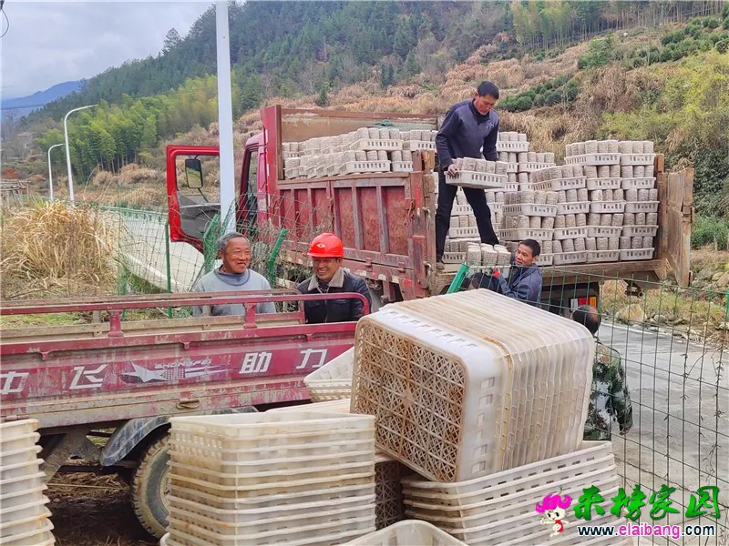 微信图片_20210309160856.webp