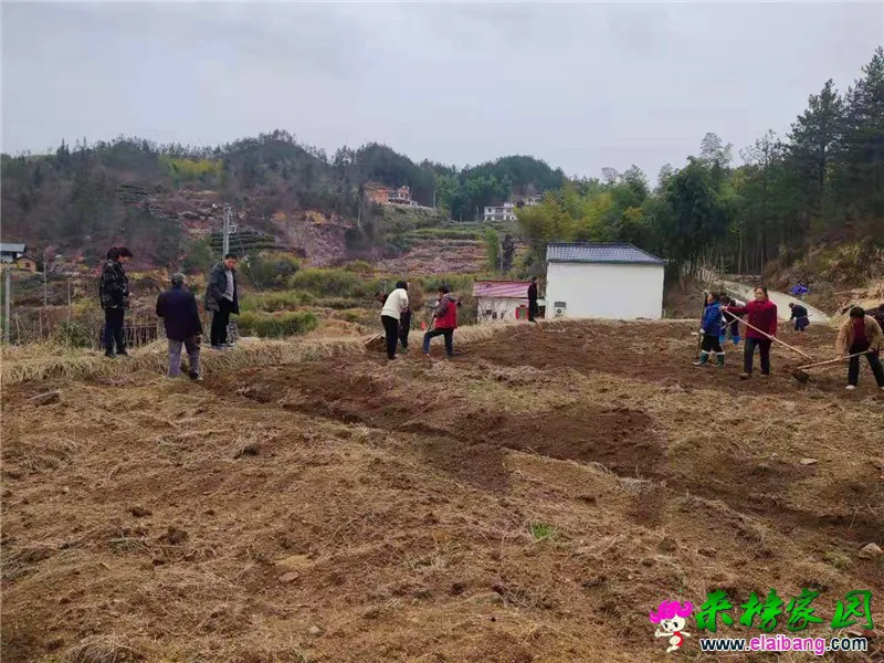 微信图片_20210310210114.webp