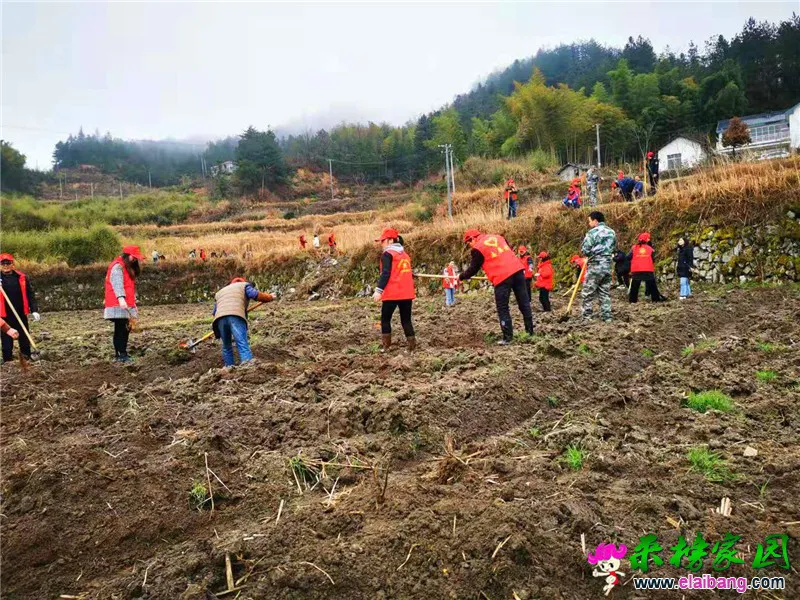 微信图片_20210311200346.webp