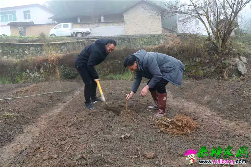 微信图片_20210311200343.webp