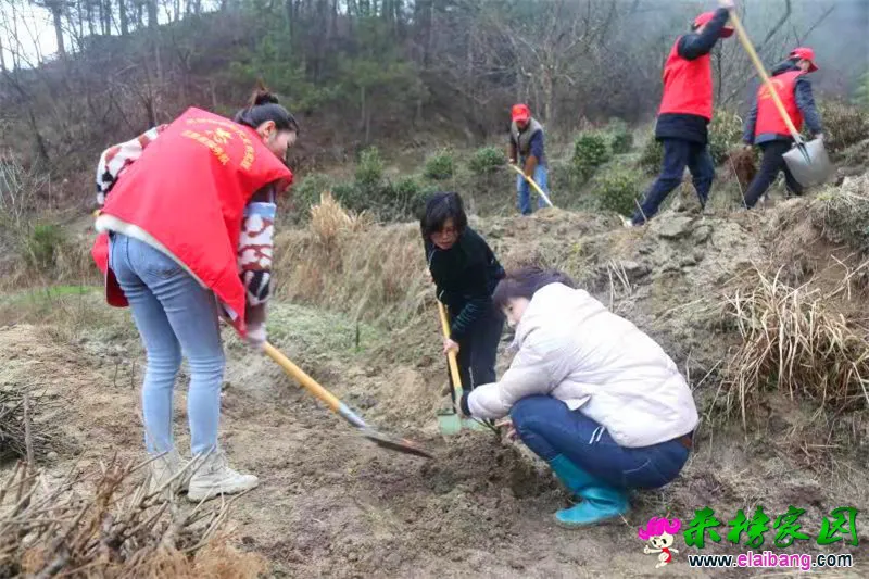 微信图片_20210311200344.webp