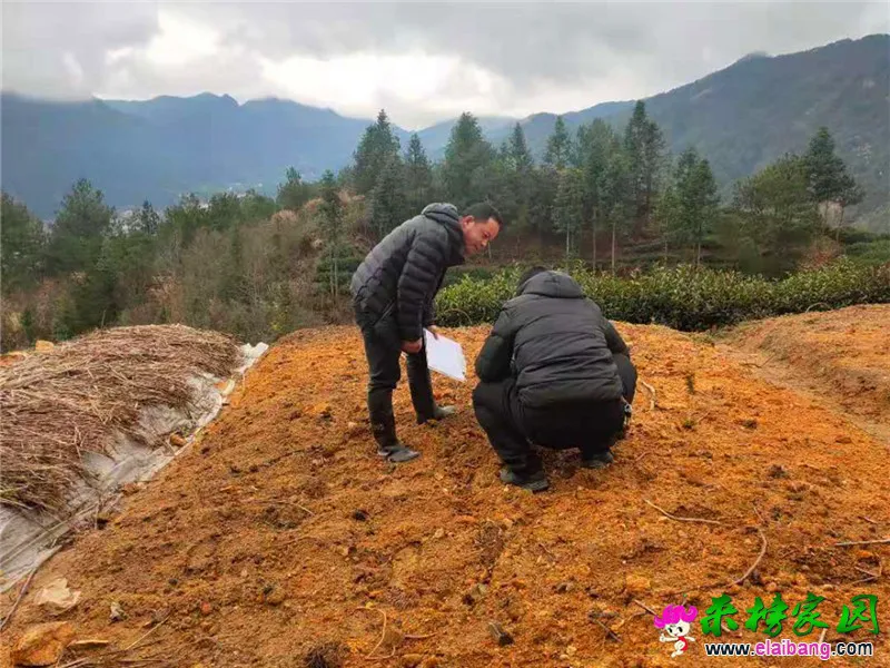微信图片_20210311200332.webp