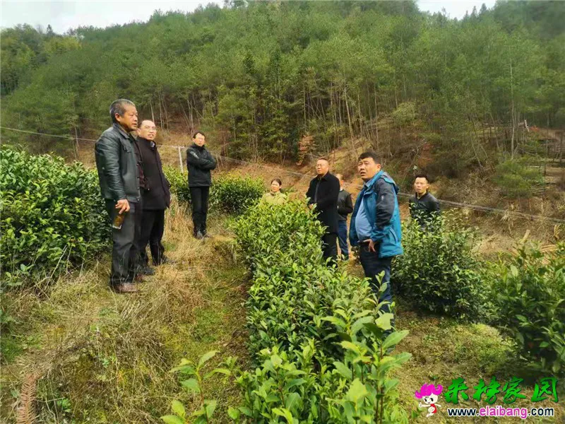 微信图片_20210312200110.webp