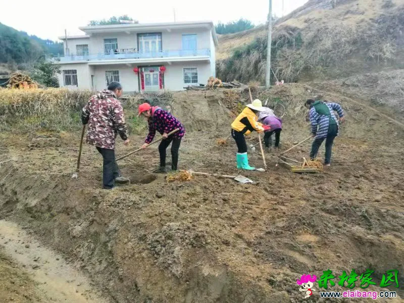 微信图片_20210312200104.webp
