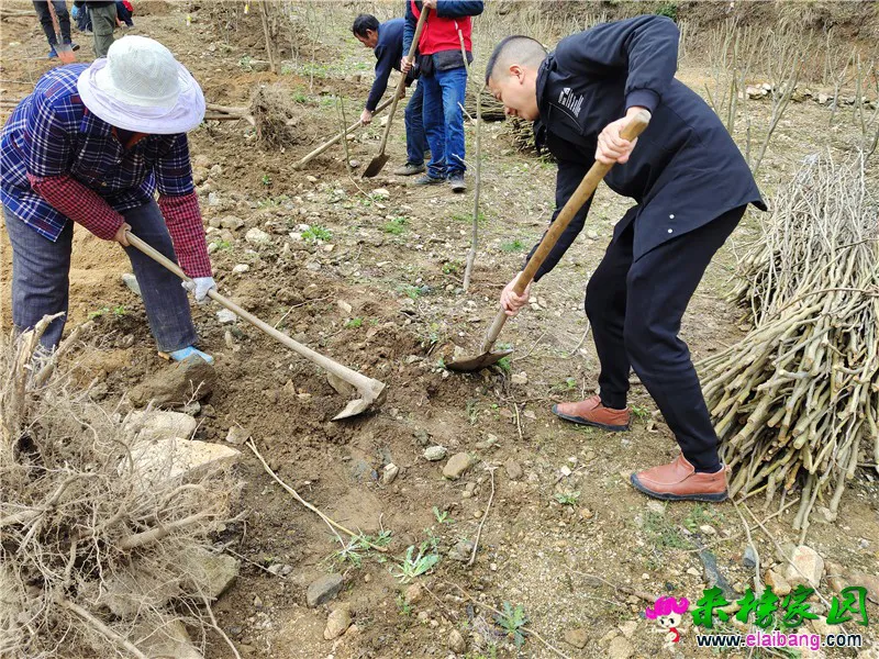微信图片_20210312200118.webp