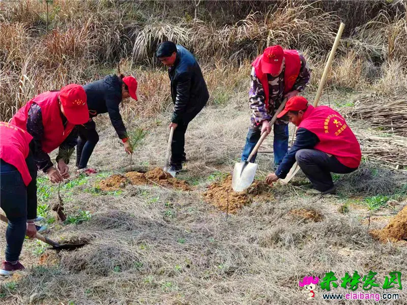 微信图片_20210312200126.webp