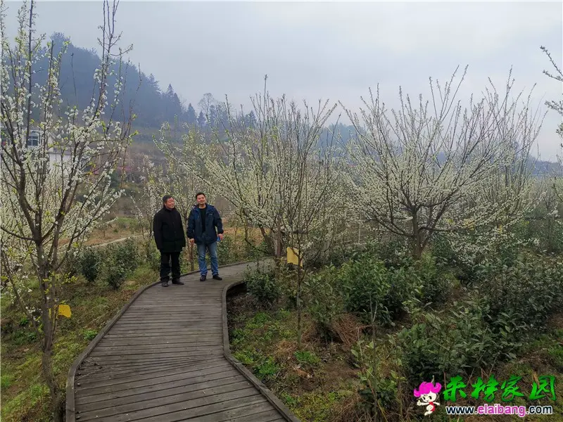 微信图片_20210315161107.webp