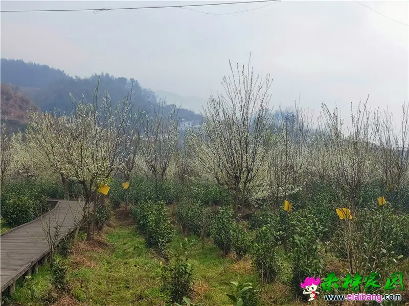 微信图片_20210315161105.webp