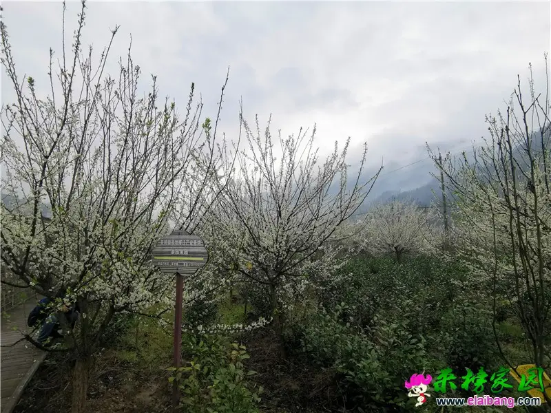 微信图片_20210315161110.webp